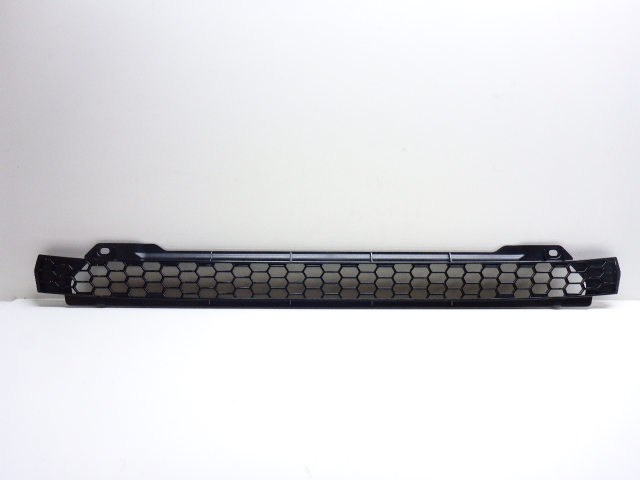 Shielding net, lower front grille panel ngs