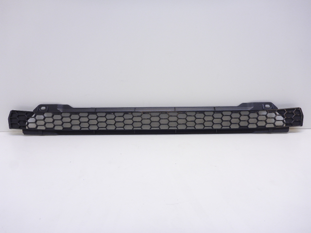 Shielding net, lower front grille panel ngs