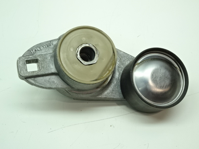 Riemspanner (multiriem) (d13) fh/fm(4)
