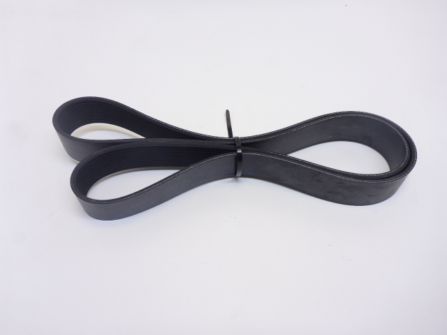 Correa nervada 10pk-1445mm
